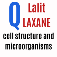 structure of a cell - Class 5 - Quizizz