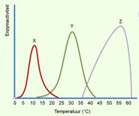 Biology - Year 5 - Quizizz