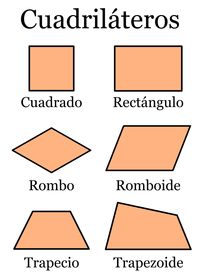 Clasificación de cuadriláteros - Grado 6 - Quizizz