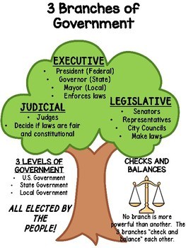 three branches of government chart