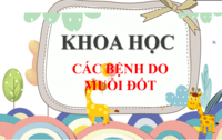 Khoa học trung học - Lớp 5 - Quizizz