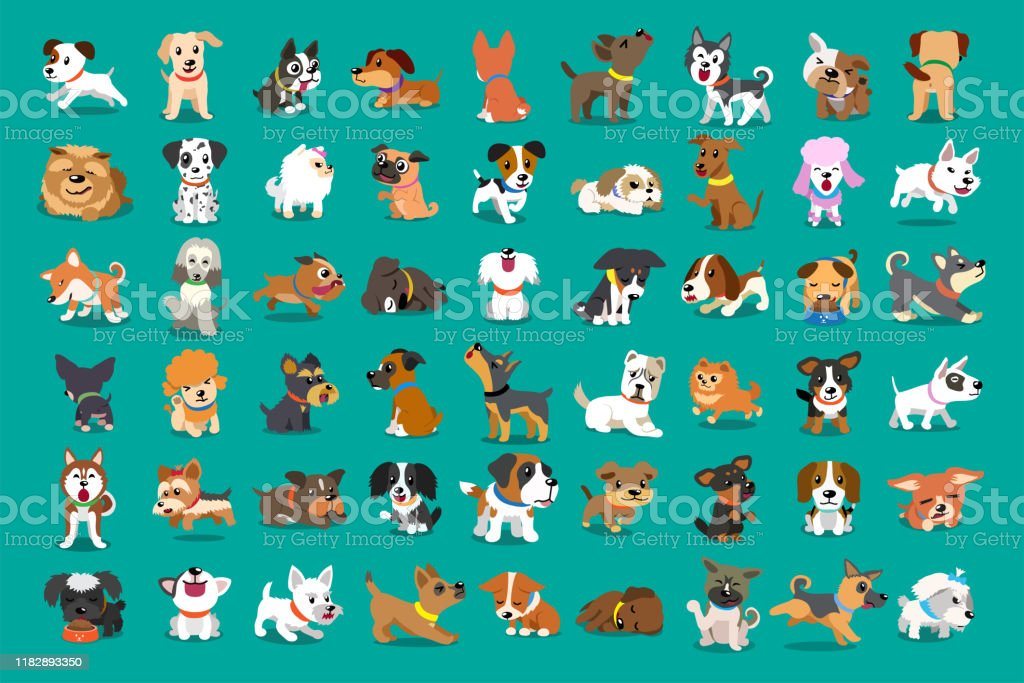 80 Dog Breeds | 87 Plays | Quizizz