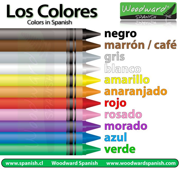 Colores - Grado 7 - Quizizz