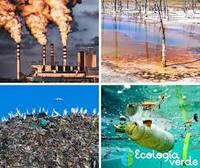 ecología - Grado 5 - Quizizz