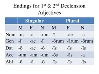 Latin 1st and 2nd Declension Adjectives