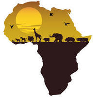 paises en africa - Grado 11 - Quizizz