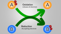 reacciones redox y electroquímica - Grado 12 - Quizizz