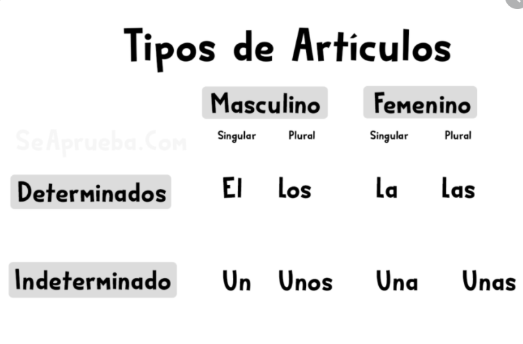 Artículos determinados e indeterminados | 274 jugadas | Quizizz