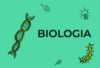 Biologia człowieka - Klasa 2 - Quiz