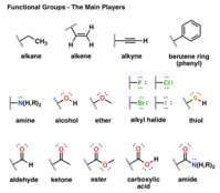 alkanes cycloalkanes and functional groups - Year 11 - Quizizz