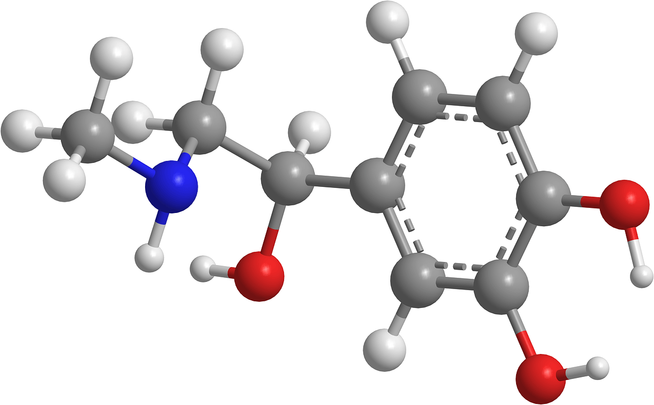 10_C_Catene de atomi de carbon