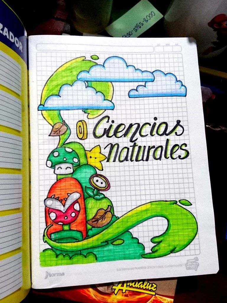 Cuestionario De Ciencias Naturales B Quiz Quizizz Hot Sex Picture