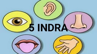 5 Indra Kartu Flash - Quizizz