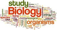 biologi manusia - Kelas 7 - Kuis