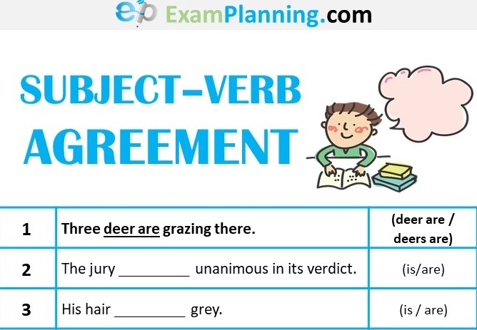 Subject Verb Agreement Quiz | English Quiz - Quizizz