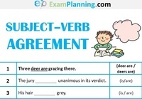 Subject Verb Agreement Quiz