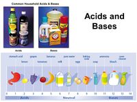 Acids and Bases Honors