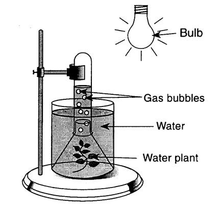 Types of Experiments