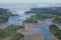 Estuaries and Intertidal Zones