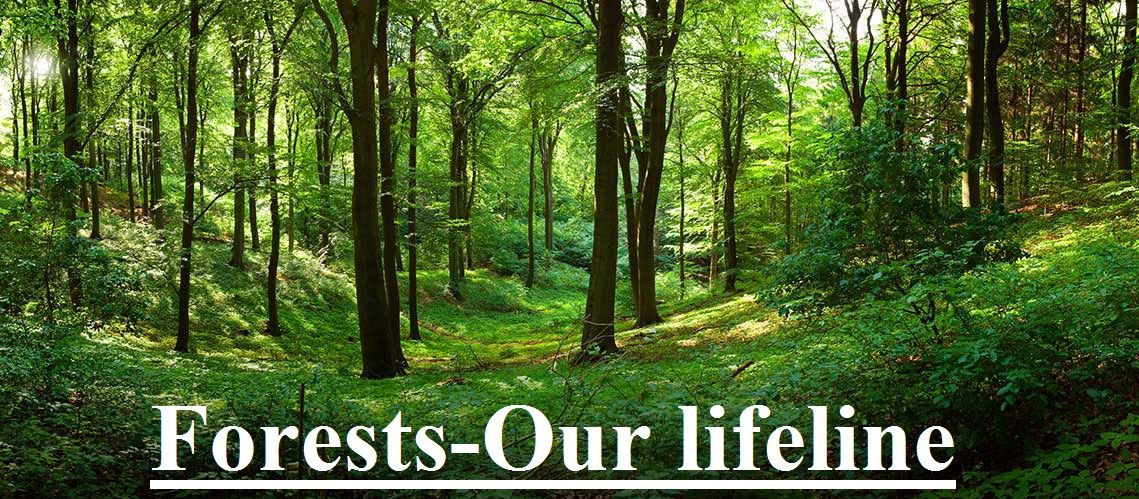 FORESTS OUR LIFELINE