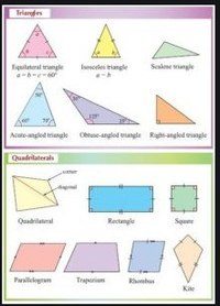 2D Shapes and Fractions - Grade 5 - Quizizz