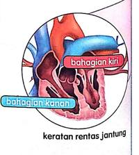 sirkulasi atmosfer dan sistem cuaca - Kelas 5 - Kuis