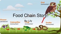 food chain - Grade 2 - Quizizz