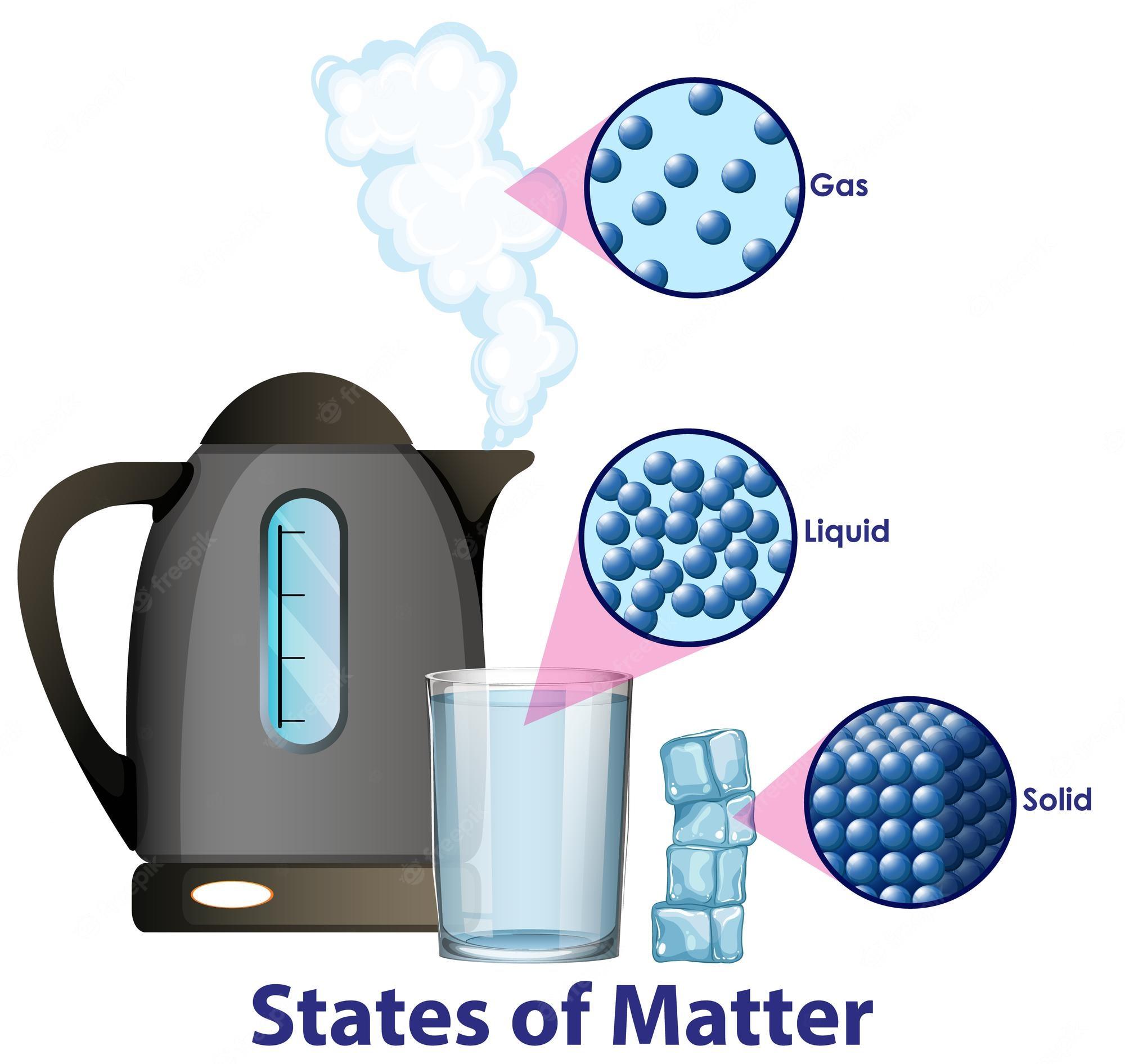 States Of Matter Quizizz Hot Sex Picture