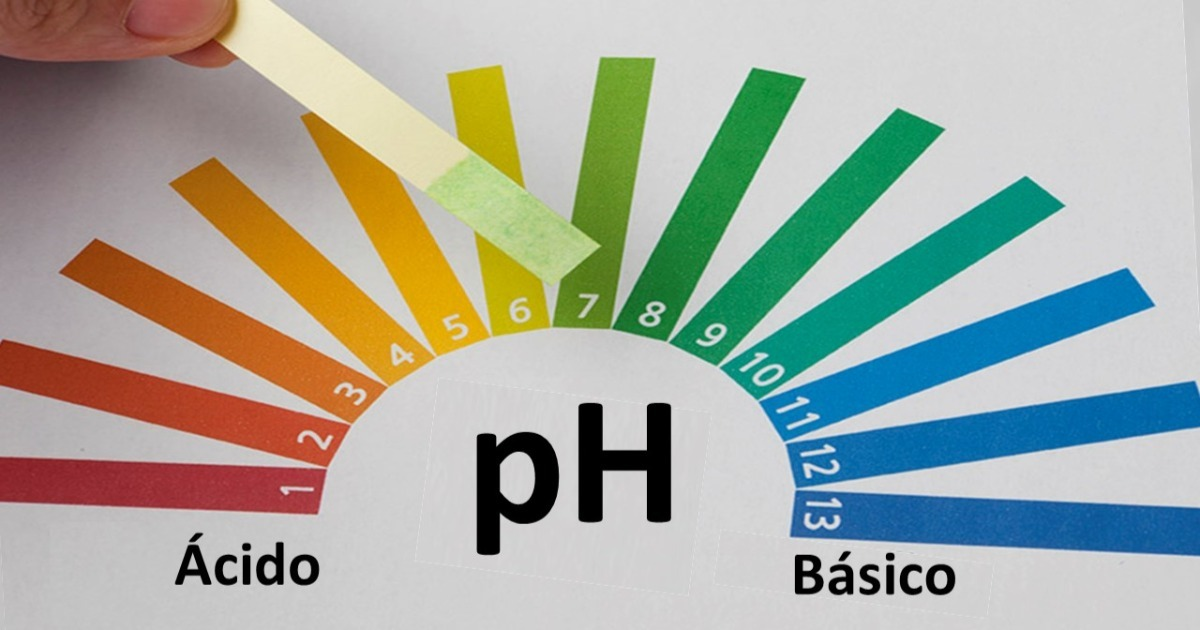 ácidos e bases - Série 12 - Questionário