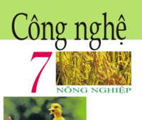 Nghe âm tiết - Lớp 7 - Quizizz