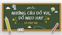 Ai Cái gì Khi nào Ở đâu Tại sao Câu hỏi Flashcards - Quizizz