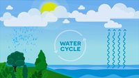 Water Cycle