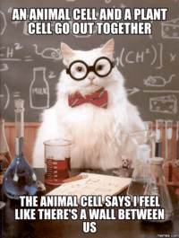 structure of a cell - Grade 8 - Quizizz