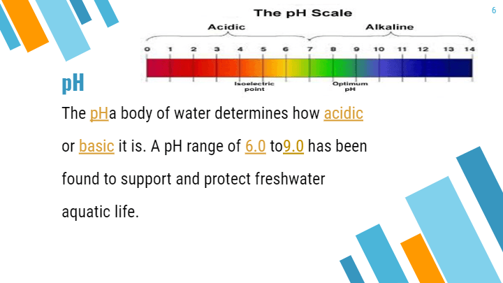 Water Quality | Science - Quizizz