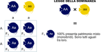 di truyền phi Mendel - Lớp 8 - Quizizz