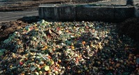 FOOD WASTE