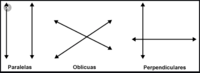 Rectas Paralelas y Perpendiculares - Grado 3 - Quizizz
