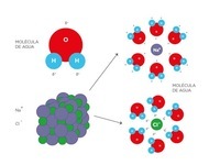 estados de la materia y fuerzas intermoleculares - Grado 9 - Quizizz