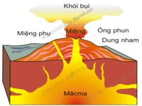 lực hướng tâm và lực hấp dẫn - Lớp 1 - Quizizz