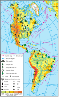 các nền văn minh cổ đại - Lớp 2 - Quizizz