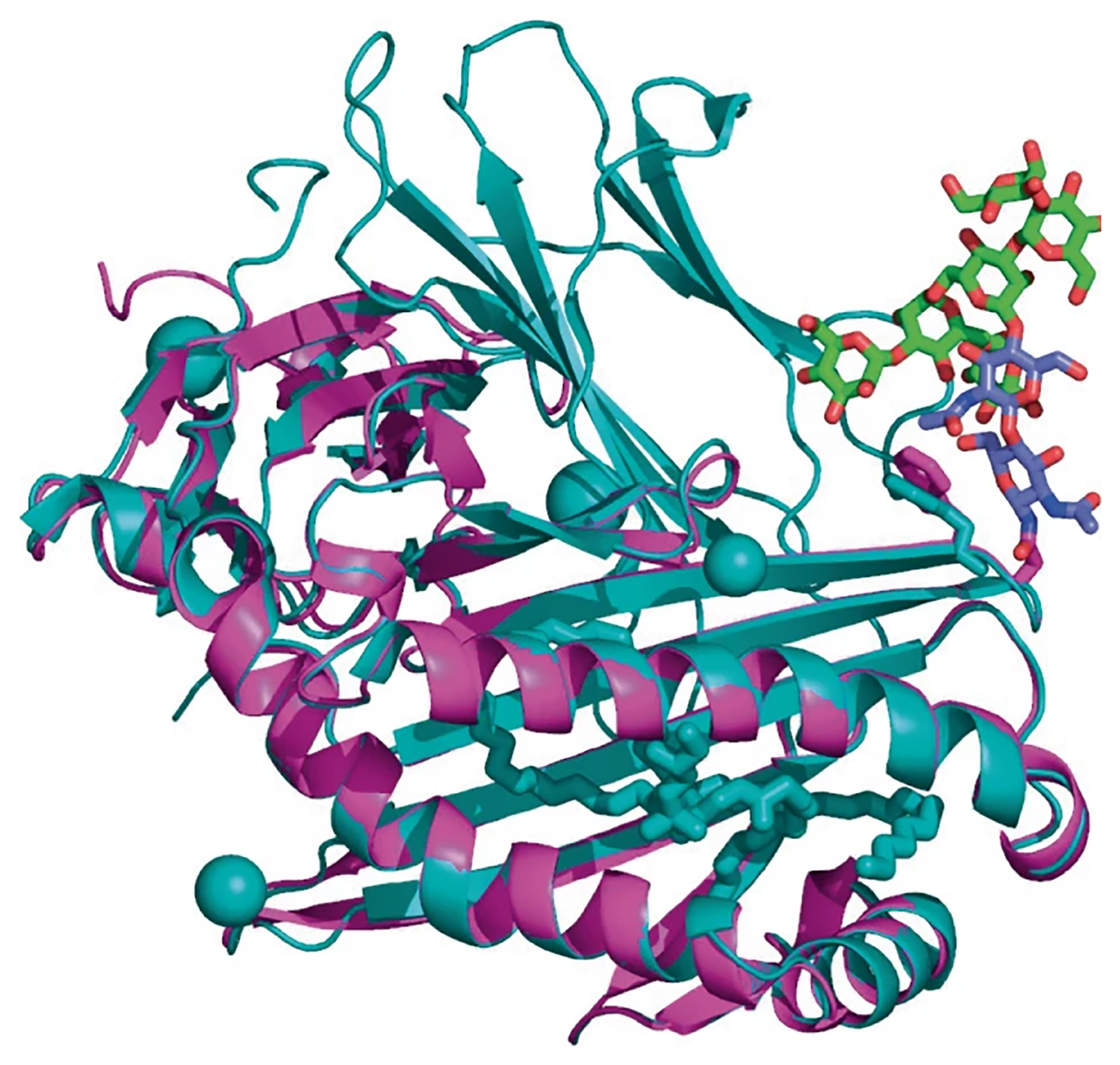 The Three-Dimensional Structure Of Proteins | Quizizz