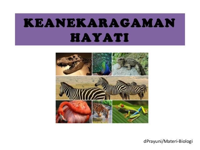 UH Keanekaragaman Hayati  Biology Quiz - Quizizz