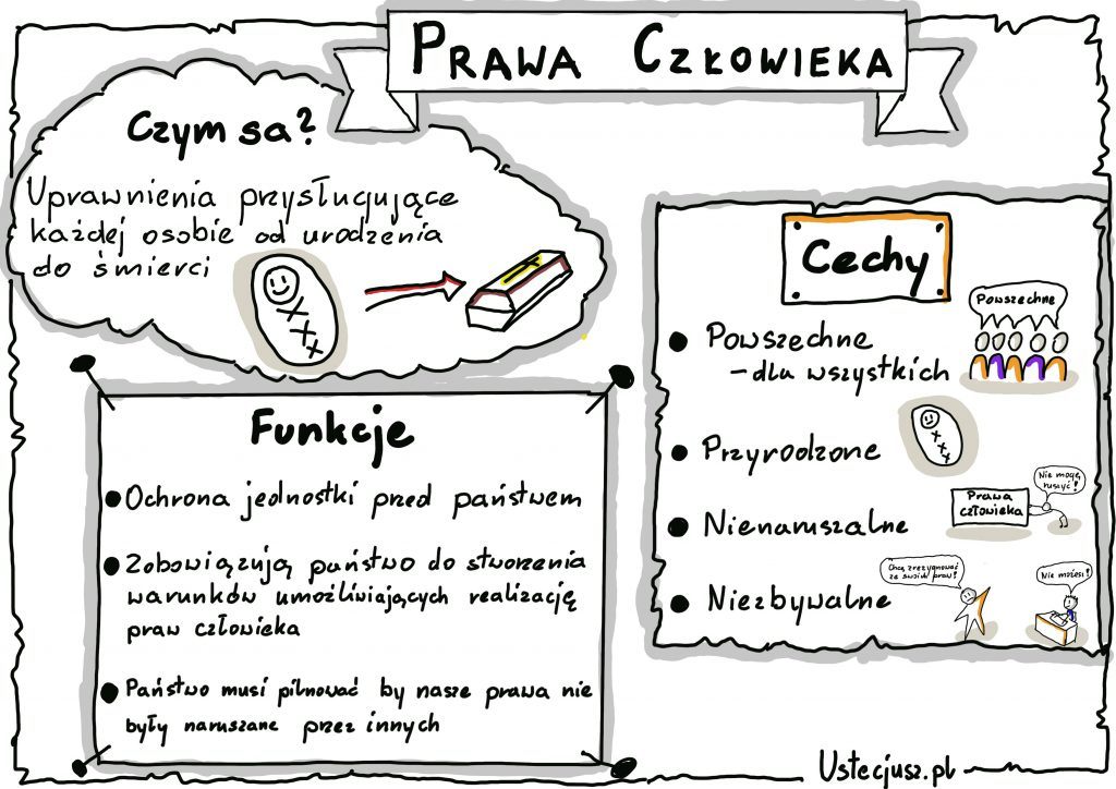 Biologia człowieka - Klasa 9 - Quiz