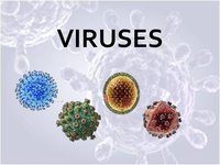 viruses - Class 10 - Quizizz