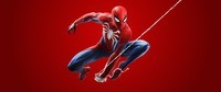 The Spider Man Quiz