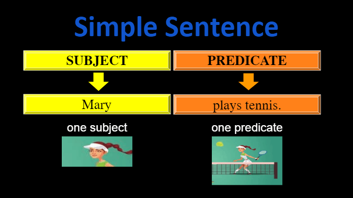 7-simple-sentences-review-english-quizizz