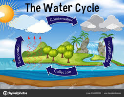 Water Cycle and Climate | 1.1K plays | Quizizz