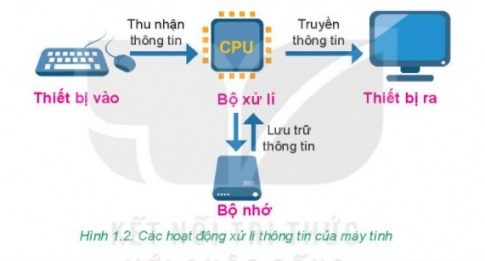 Cấu trúc bài luận thông tin Flashcards - Quizizz