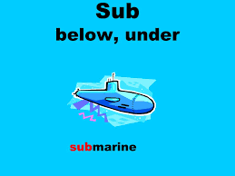 Prefix sub-: meaning under