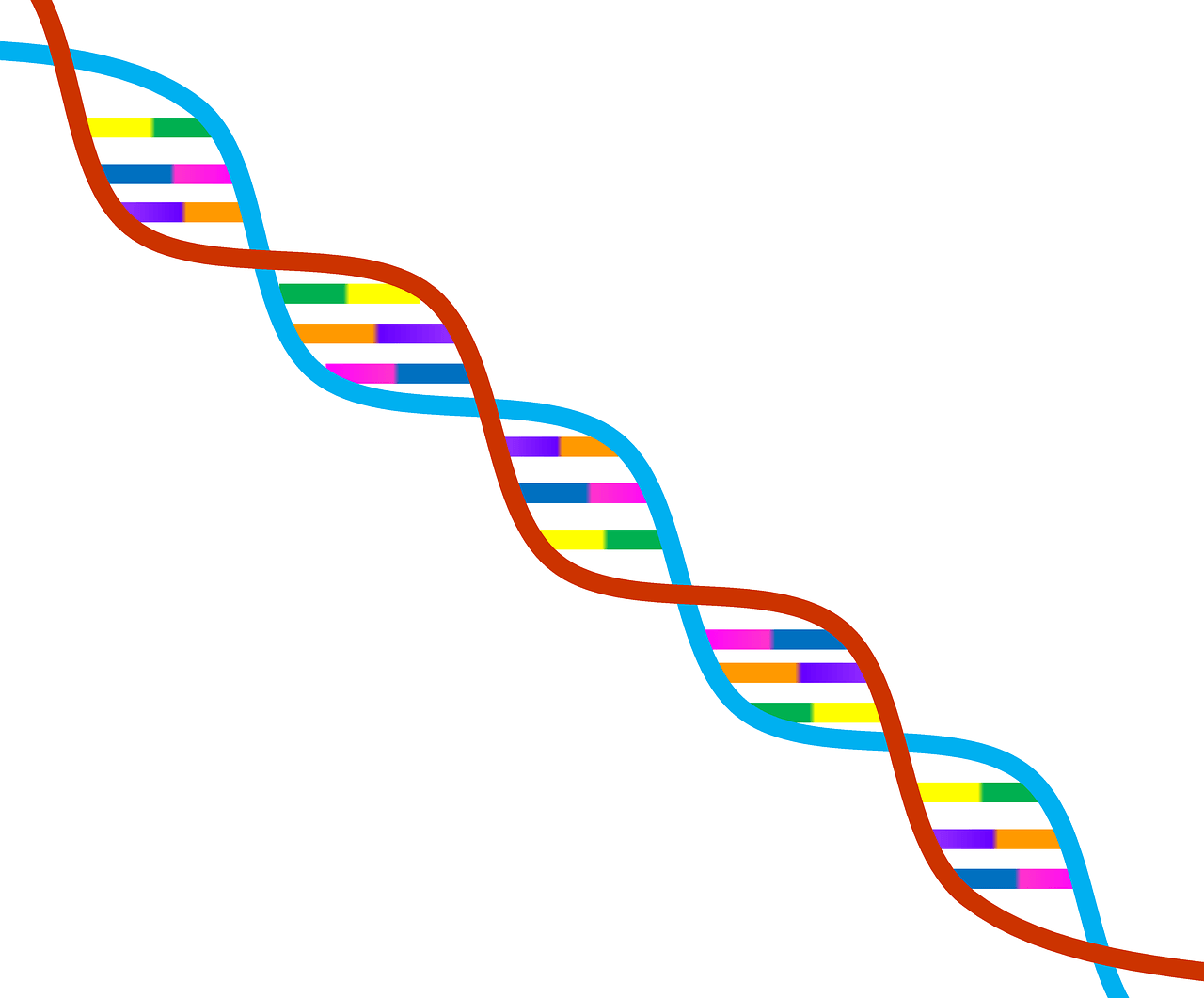 struktur dan replikasi DNA - Kelas 7 - Kuis